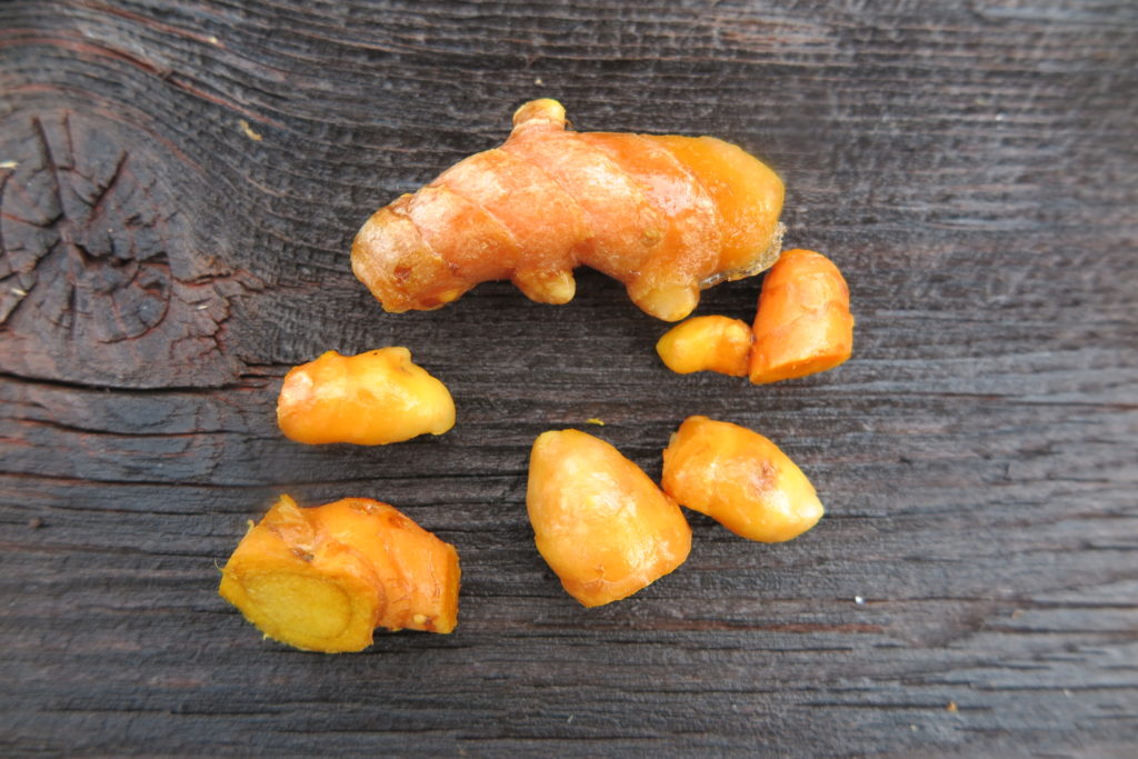 turmeric root