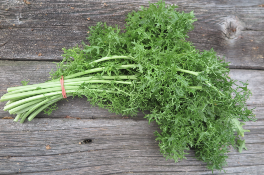 frisée
